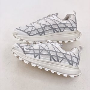 Dior B31 Runner White Grey