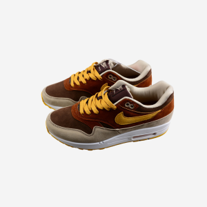 Nike Air Max 1 ugly duckling